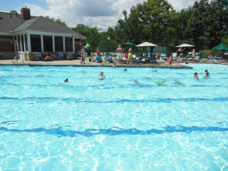 Glendale Lyceum swimming pool in summer